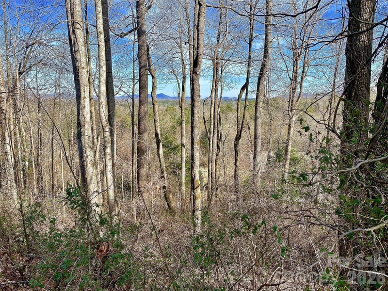 174 High Road Overlook None Apt 24, Hendersonville, NC -  - $59,000