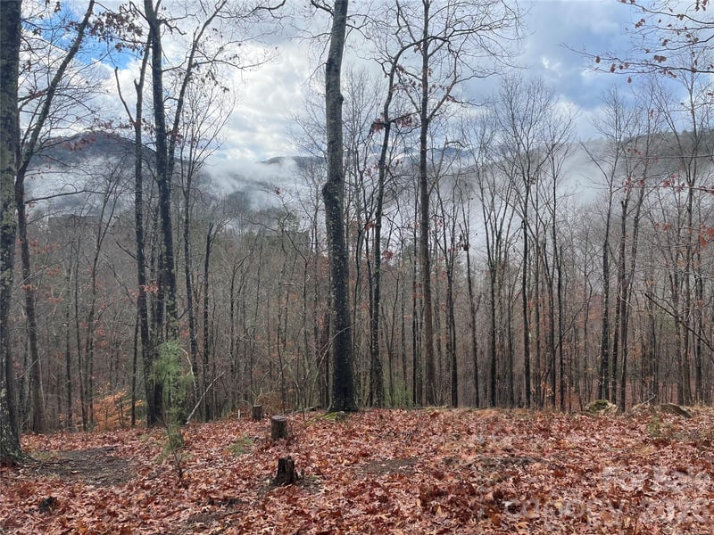 75 Wild Turkey Loop Apt 31, Marshall, NC -  - $190,000