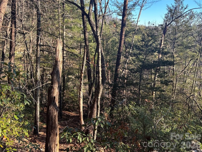 Lot 20 Nicklaus Lane, Lake Lure, NC -  - $24,900
