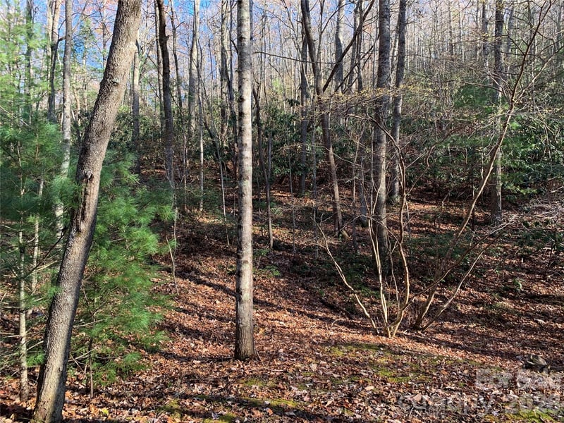 TBD (Lot 1) Dugger Firetower Road Apt 1, Lenoir, NC -  - $34,900