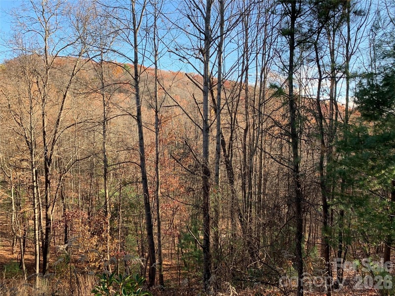 TBD (Lot 4) Wolf Den Lane Apt 4, Lenoir, NC -  - $34,900