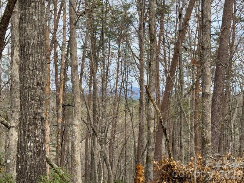 Lots 4-7 Carmel Ridge, Rutherfordton, NC -  - $484,875
