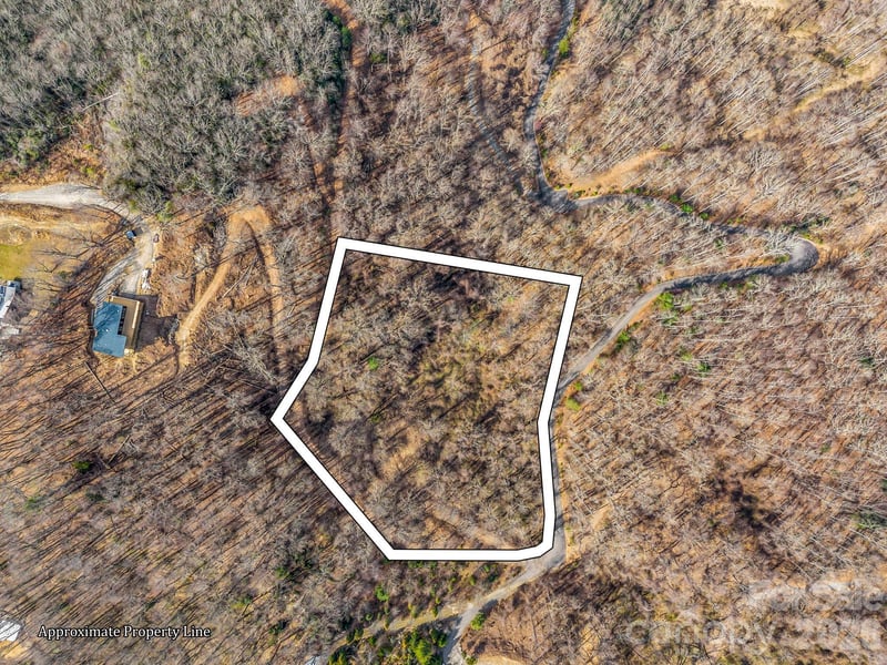 99999 Rose Hill Road, Asheville, NC -  - $130,000