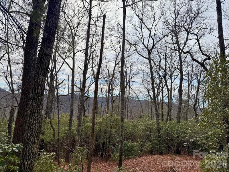 TBD Laurel Thicket Lane, Brevard, NC -  - $110,000