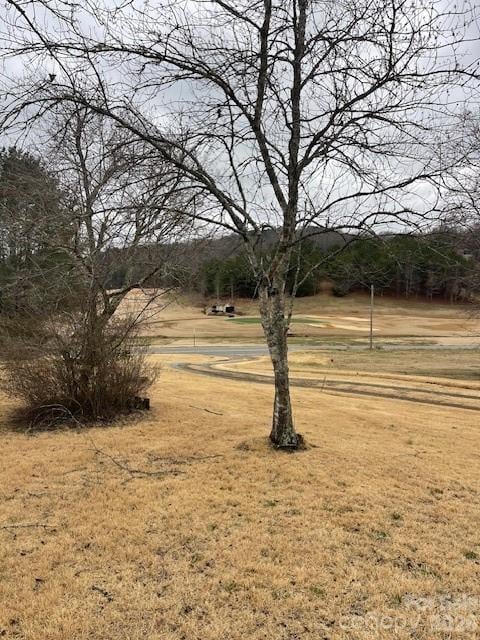 598 Buffalo Creek Road, Lake Lure, NC -  - $239,000