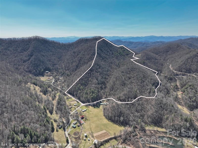 0000 Grapevine Road, Marshall, NC -  - $600,000