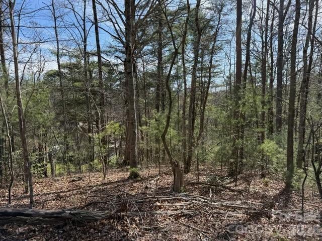 2 Frontier Court, Asheville, NC -  - $110,000