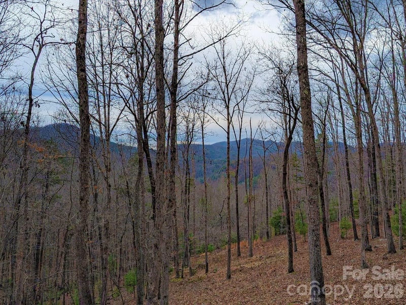 51 Wild Turkey Loop Apt 32, Marshall, NC -  - $129,900