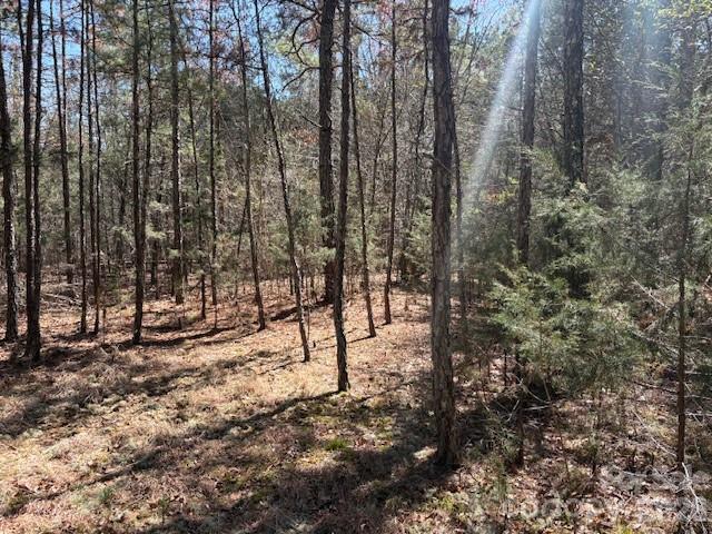7350 Paul Linker Place, Concord, NC. property listing photo