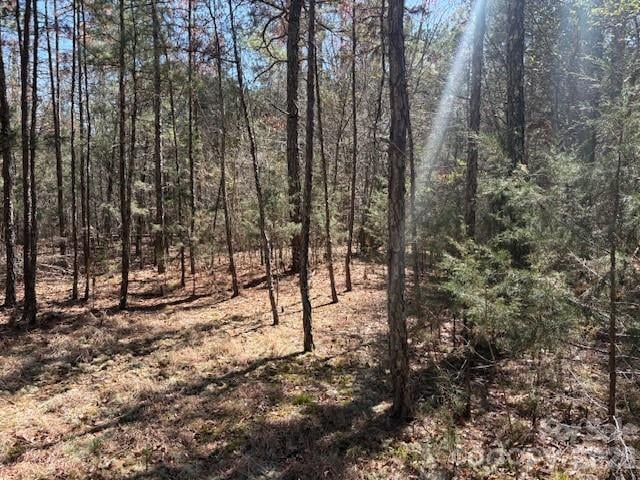 7350 Paul Linker Place, Concord, NC -  - $175,000