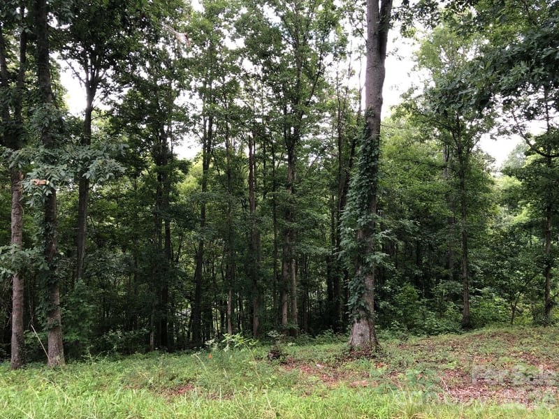 45 Sweet Fern Parkway Apt 43, Asheville, NC -  - $239,000
