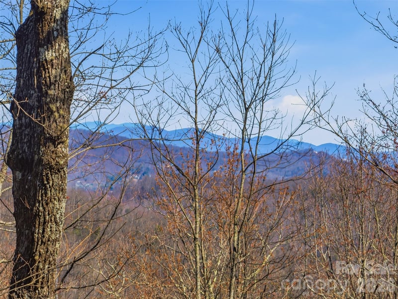 TBD Panther Mountain Road Apt 18, Zirconia, NC -  - $200,000