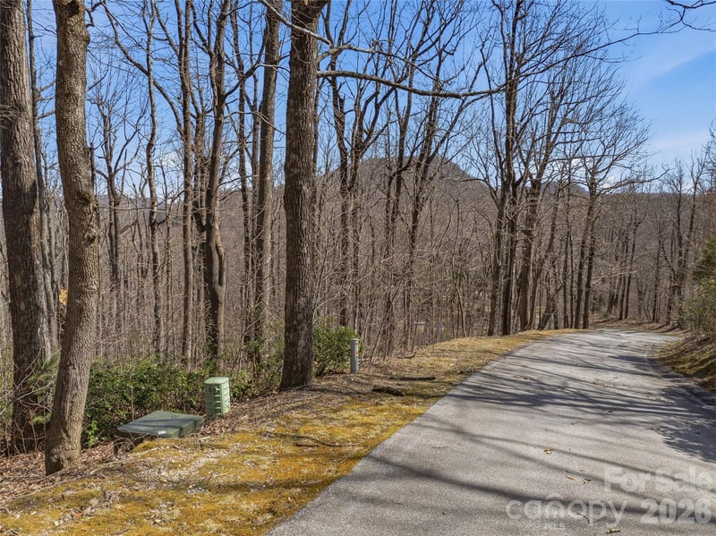 TBD Wild Magnolia Way Apt 52, Zirconia, NC -  - $125,000