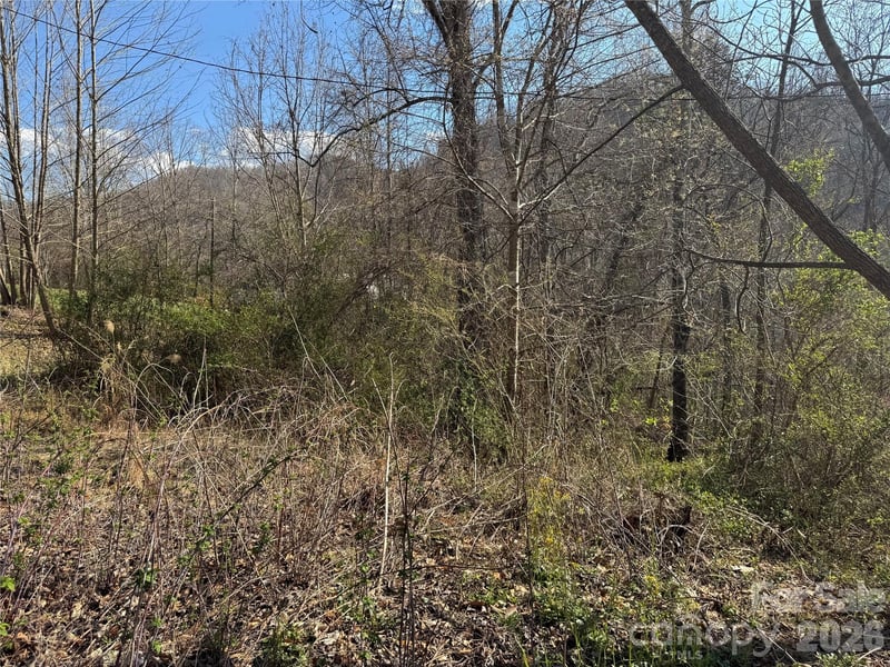 9999 Ox Creek Road, Weaverville, NC -  - $75,000