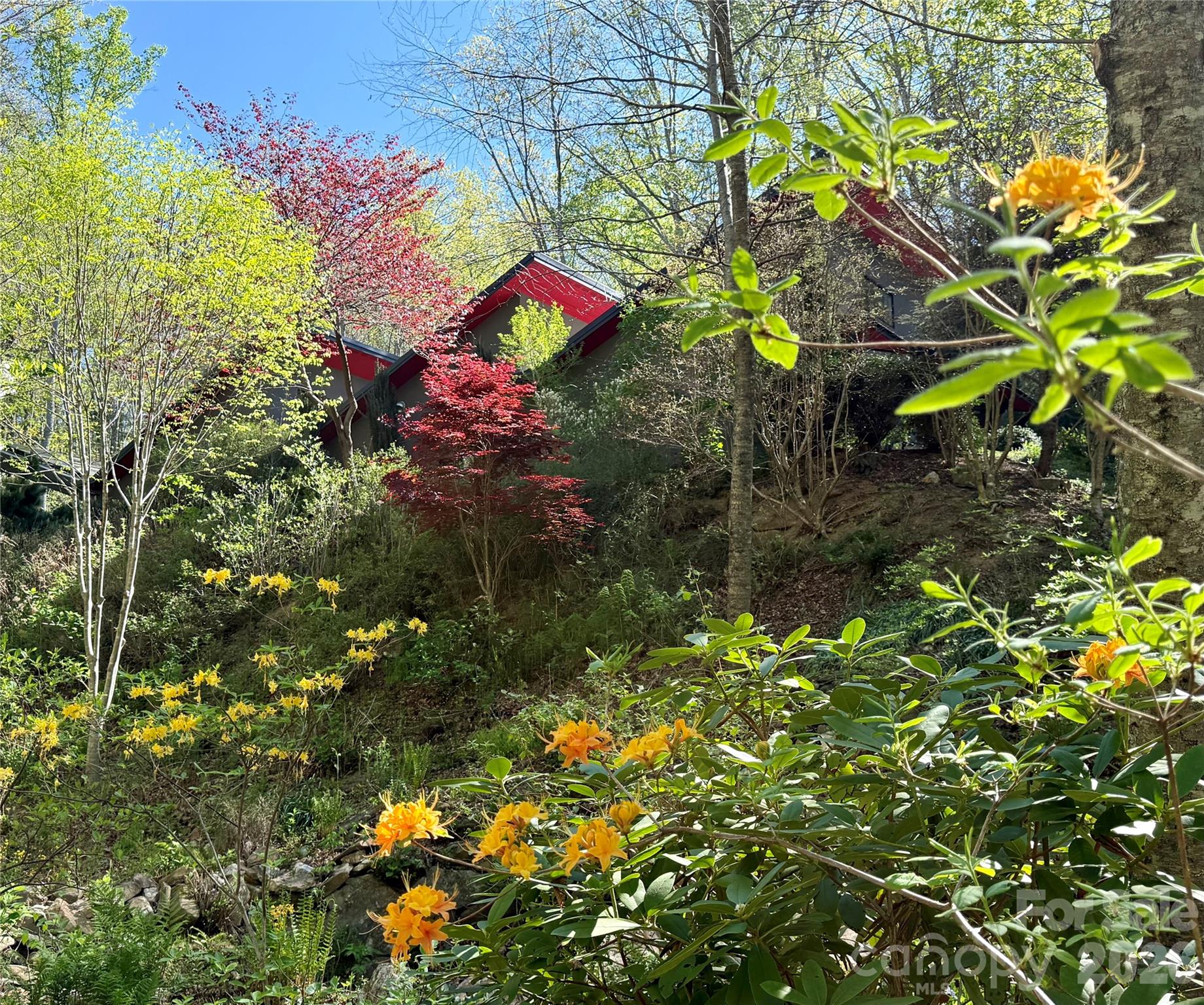 33 Robinson Creek Road, Asheville, NC. property listing photo