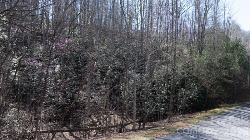 1342 High Trail Drive Lot 27-11, Nebo, NC -  - $65,000