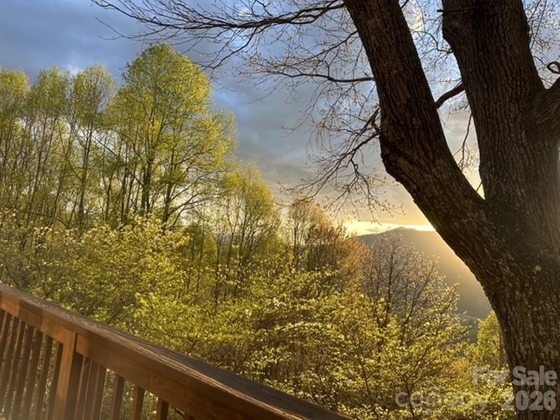 415 Treetop Lane, Waynesville, NC - 3 beds, 2.5 baths, 1,884 sqft - $710,000