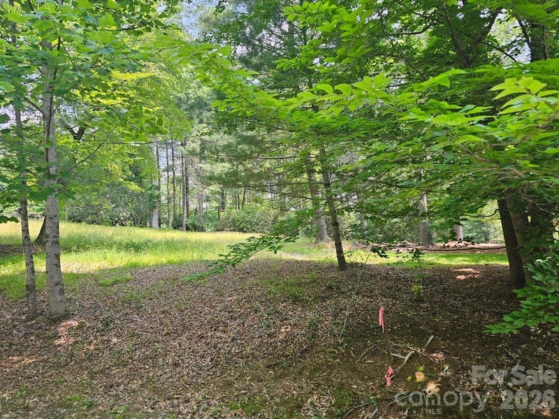 A3 Allison Creek Trail A3, Brevard, NC -  - $335,000