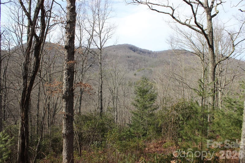 Lots 82 & 83 Waterdance Drive, Tuckasegee, NC -  - $64,000