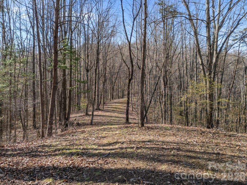 9999 Hidden Cove Road, Leicester, NC -  - $405,000