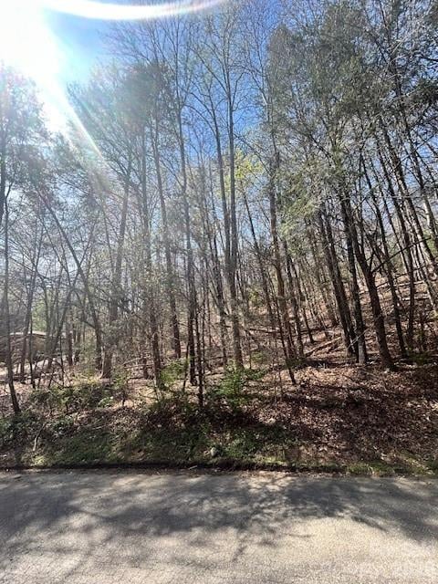 Lot 51 Fairway Drive Apt 51, Lake Lure, NC -  - $25,000