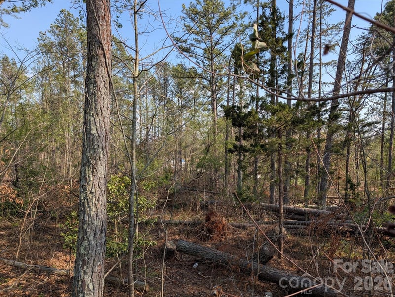 TBD Whitesides Road, Forest City, NC -  - $27,500
