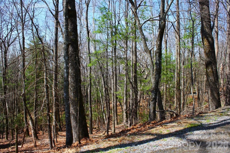 0000 Slick Rock Road, Brevard, NC -  - $79,900