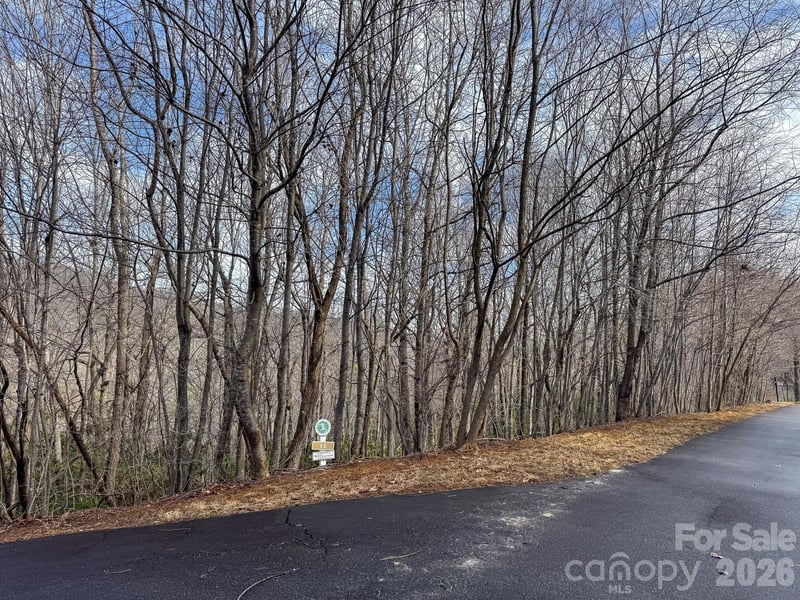 9999 Rainbow Falls Trail, Black Mountain, NC -  - $22,000
