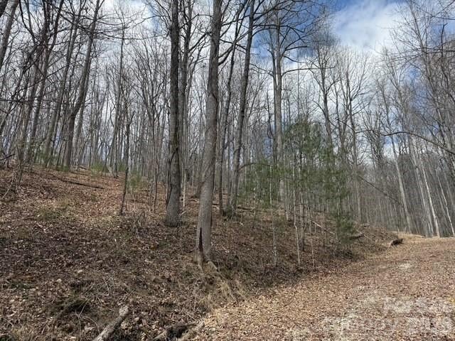 158 Chattooga Run Apt 402, Hendersonville, NC -  - $70,000