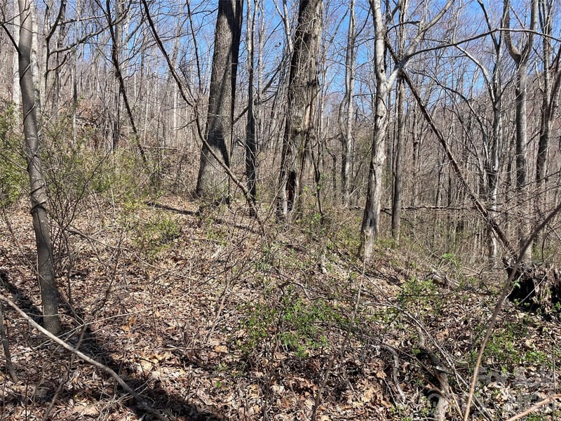 182 Old Mountain Pass, Hendersonville, NC -  - $139,000