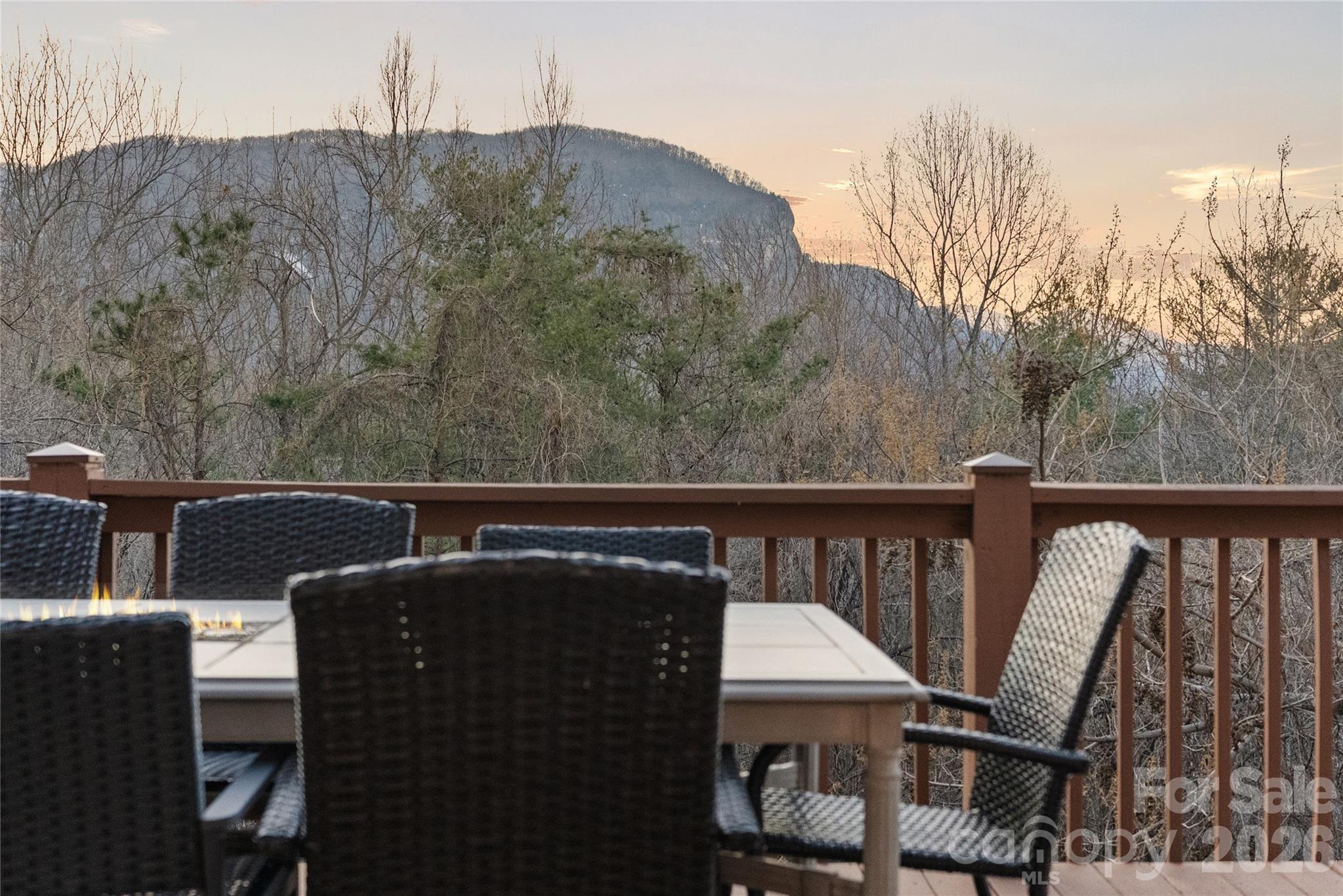 173 Mistletoe Park, Lake Lure, NC — property listing photo