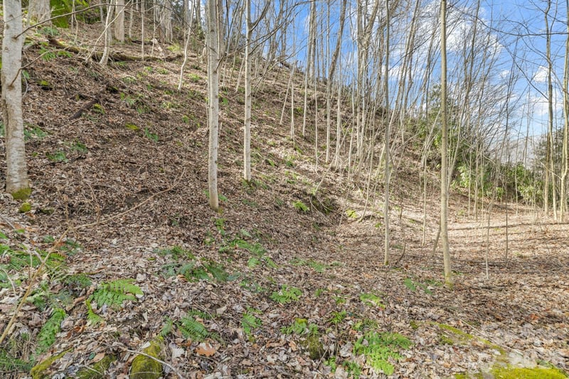 00 Lady Bug Lane W Apt 26, Maggie Valley, NC -  - $40,000