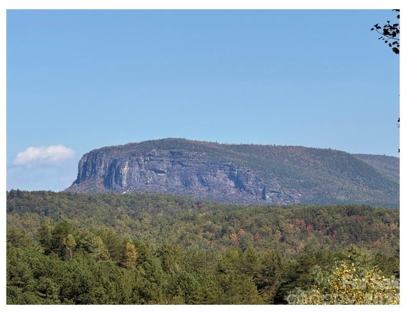 Lot #4 Pisgah Preserve Drive, Nebo, NC -  - $105,000