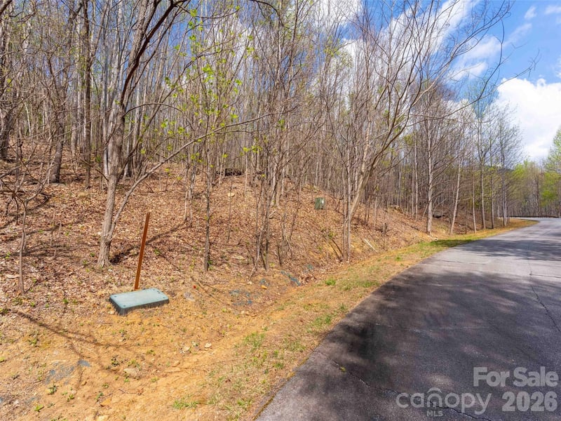 Lot 196 Cherry Hill Apt 196, Mill Spring, NC -  - $95,000