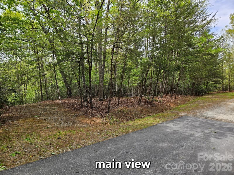 81 N Mill Ridge Road, Nebo, NC -  - $39,900