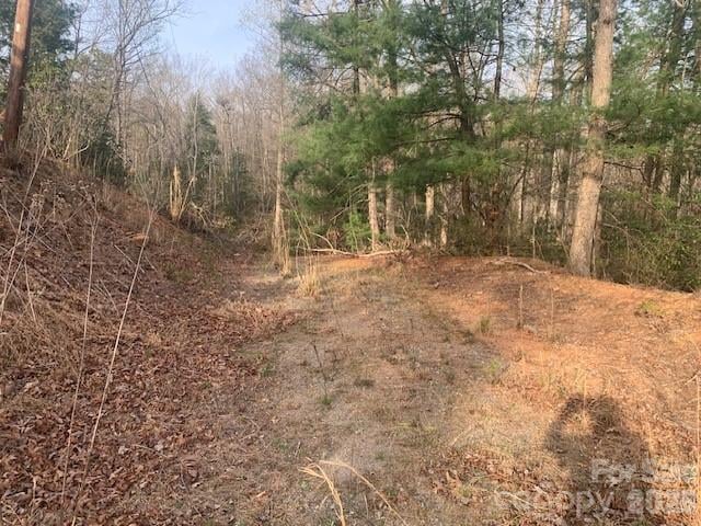 7.67 AC. HOLBERT COVE Road 7.67 AC., Saluda, NC -  - $639,900