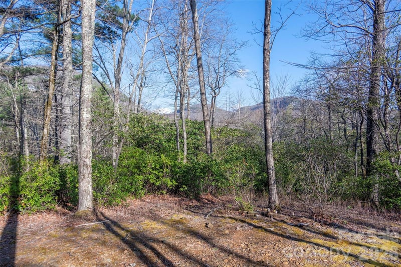 TRP 1 Cardinal Drive W, Lake Toxaway, NC -  - $425,000