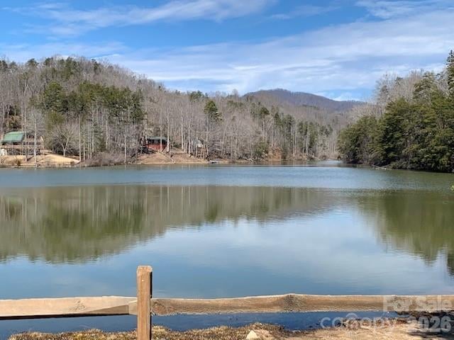0 Poodles Way Apt 291, Lake Lure, NC -  - $11,500