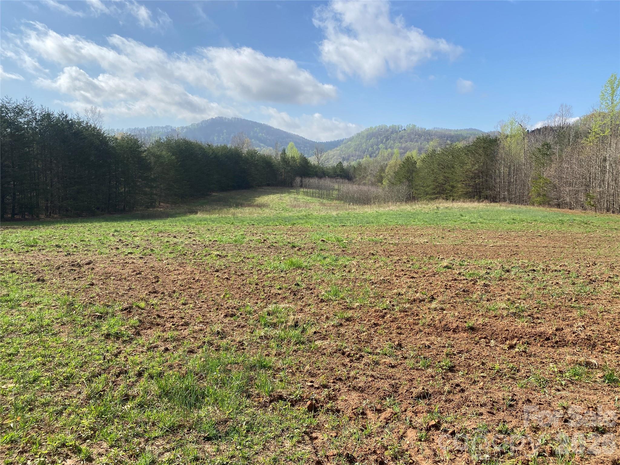 00 Cane Creek Mountain Rd Apt 1, Bostic, NC 28018. property listing photo