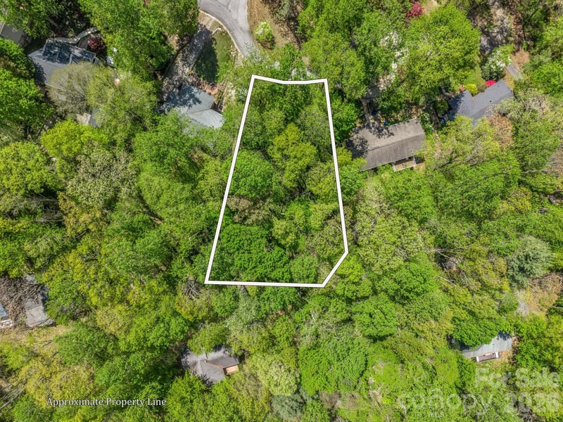 99999 Mountain Site Lane, Asheville, NC -  - $115,000
