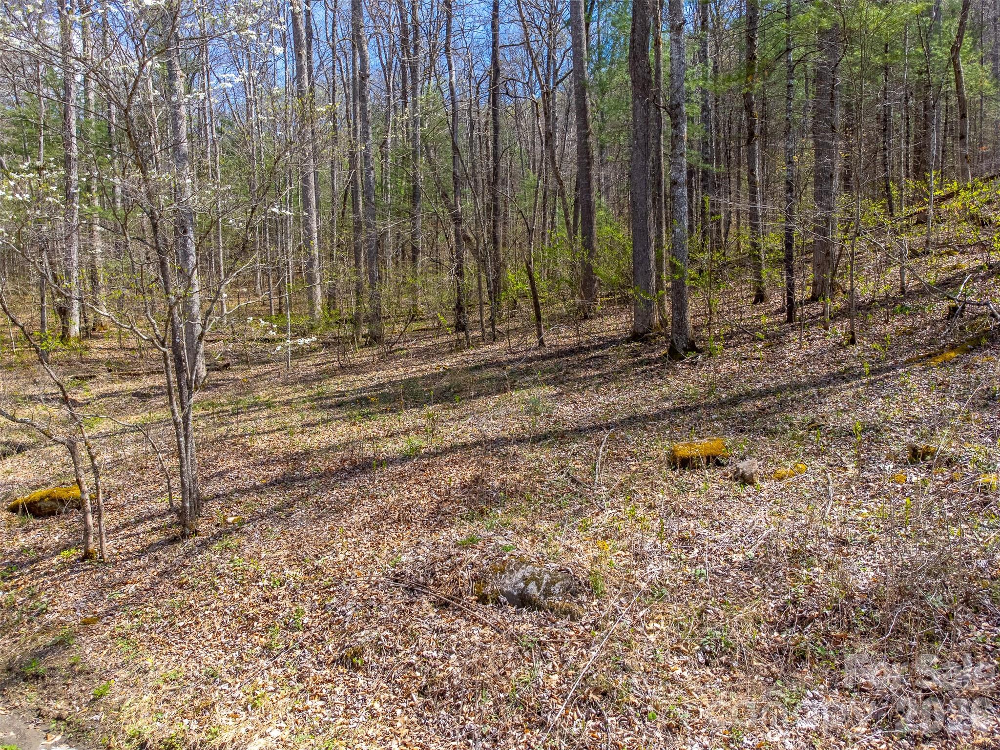 306 Cedar Creek Farm Rd, Tuckasegee, NC 28783. property listing photo