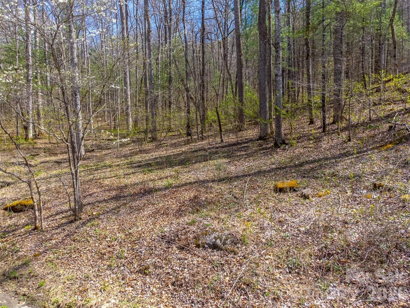 306 Cedar Creek Farm Road, Tuckasegee, NC -  - $135,000