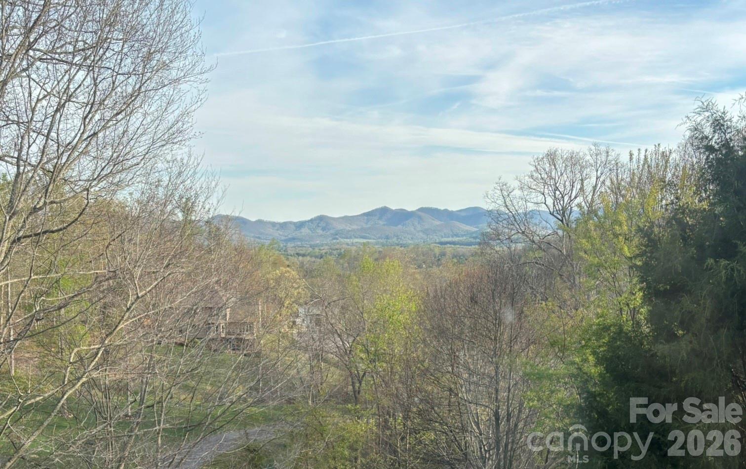24 Sunnie Rae Lane, Candler, NC. property listing photo
