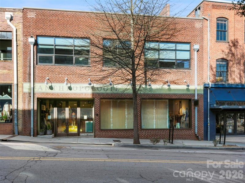 19 Rankin Avenue Apt 1B, Asheville, NC -  - $2,400,000