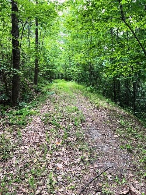 Lot 46 Lake Adger Parkway, Mill Spring, NC -  - $69,900