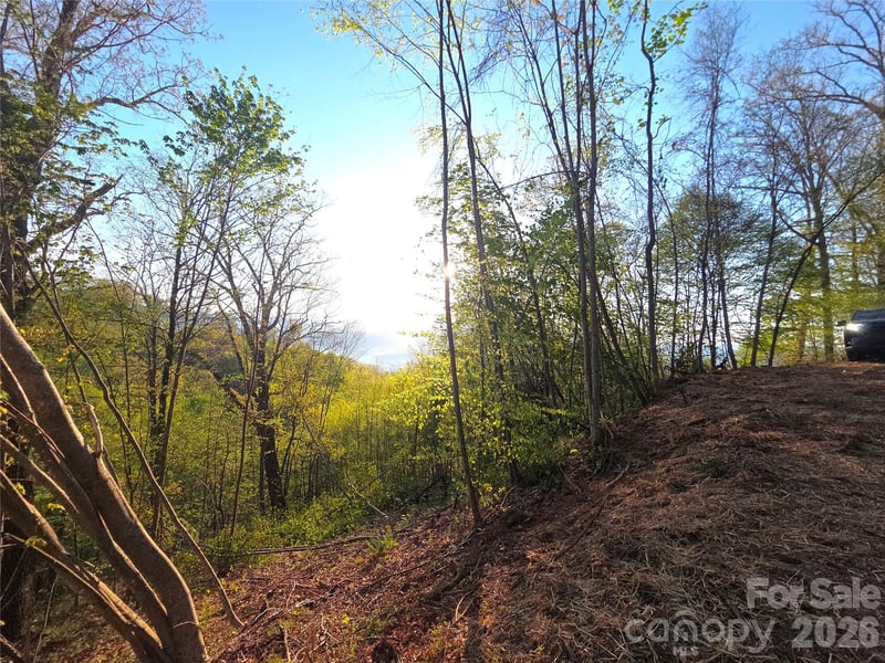 3355 Utah Mountain Road 3-F, Waynesville, NC -  - $50,000