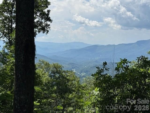 5379 Preserve Road Apt 189, Sylva, NC -  - $1,200,000