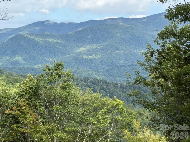 LT 262 Tote Road Apt 262, Sylva, NC -  - $625,000