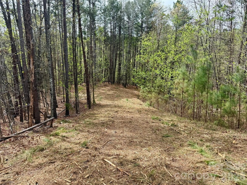 Lot 488 Bella Vista Way Apt 488, Nebo, NC -  - $49,900