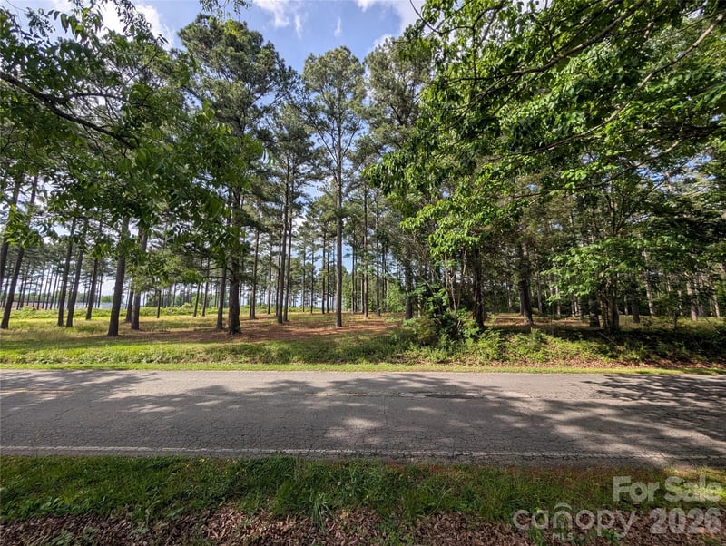 0000 Blessed Hope Road Tract 2, York, SC -  - $170,000